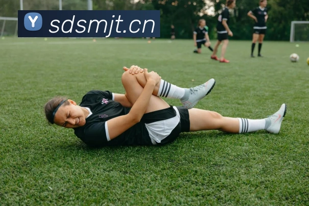 kaiyun官方入口平台生态图