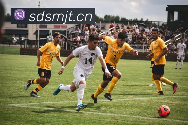 辅助工具 辅助工具